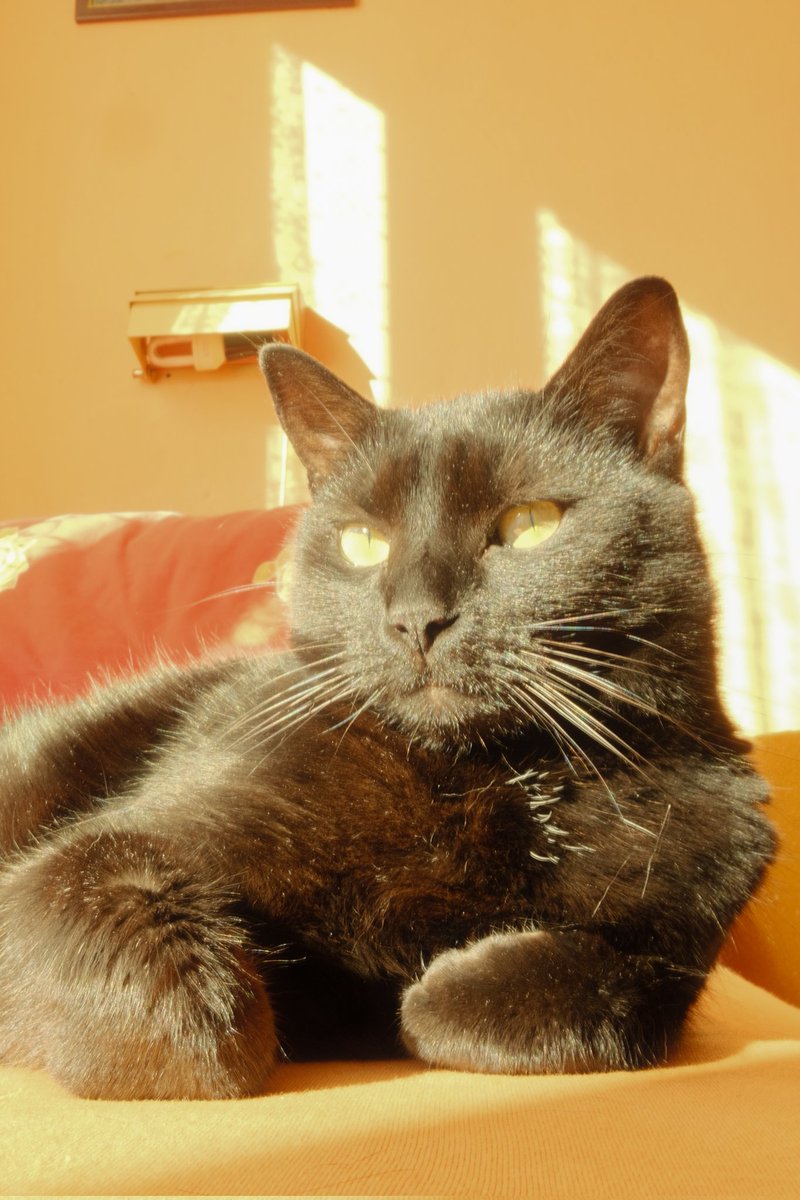 baru 📷🫀🗺️ tweet media