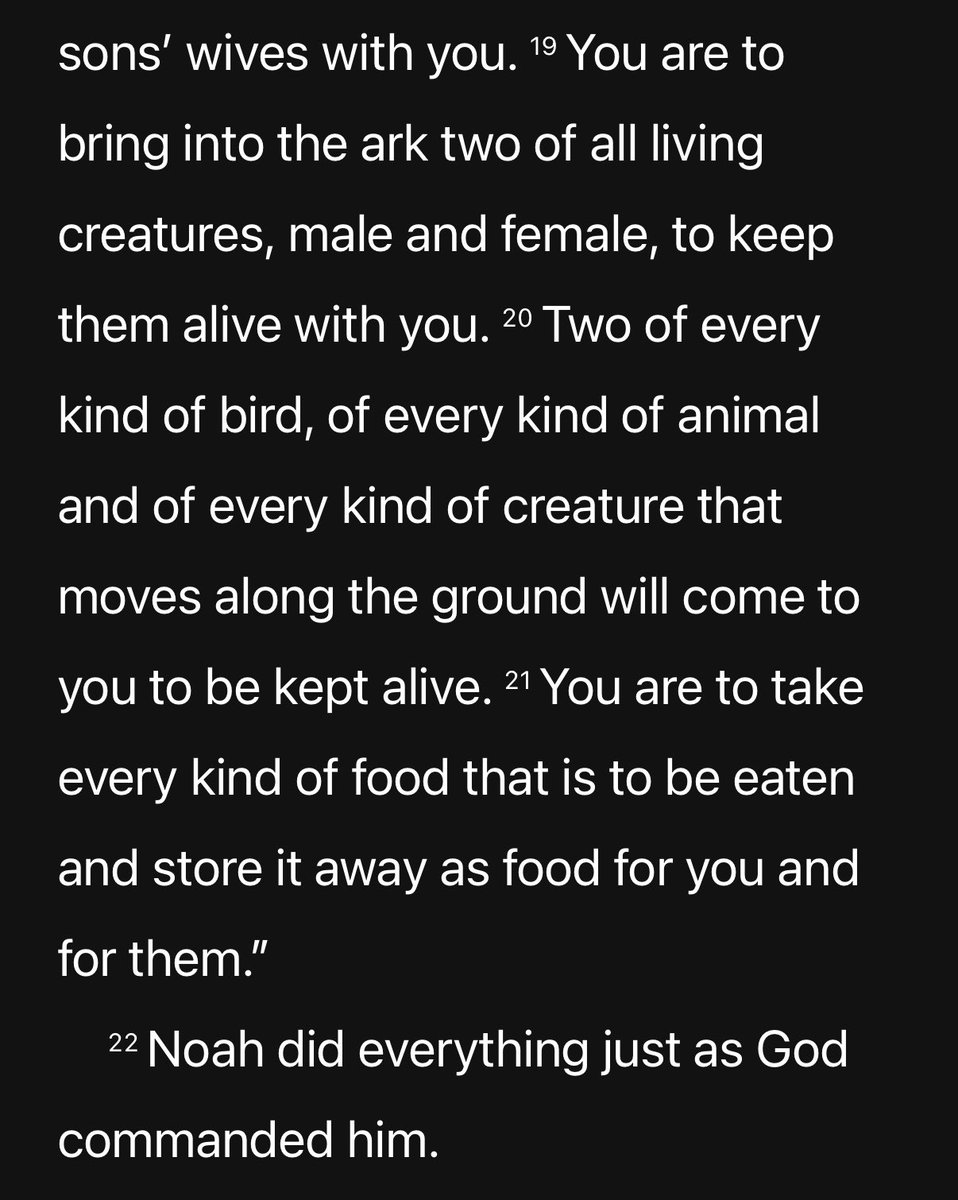 TheNodeCatcher's tweet image. 