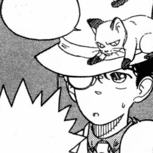 dailykaito1412's tweet image. 