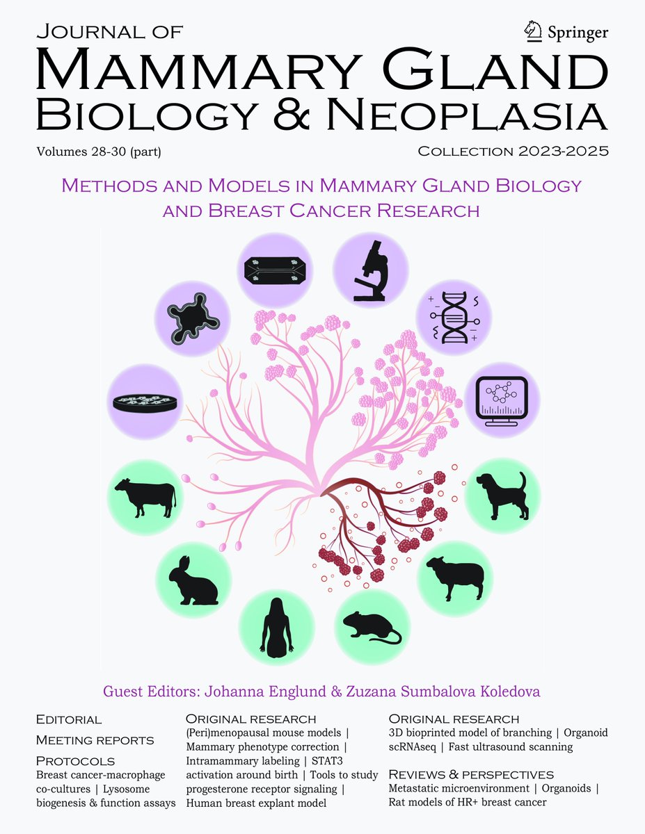 Mammary_journal's tweet image. 📢Explore our latest collection of articles on the Methods and Models in Mammary Gland Biology and Breast Cancer Research. link.springer.com/journal/10911/… Edited by @JohannaIEnglund & @KoledovaZuzana.
👉Download the compiled pdf of the collection: resource-cms.springernature.com/springer-cms/r…