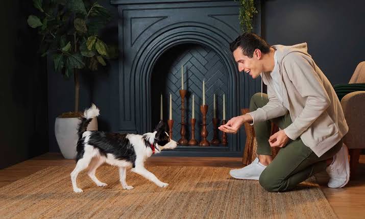 Pet Insights (@petinsights7) on Twitter photo <a href="/PetInsights7/">Pet Insights</a>
Dreaming of a dog that listens and behaves? 🐕 Training your pup is easier than you think—and it’s the key to a happier home. Here’s how to start! Thread 👇 #DogTraining #PetOwners <a href="/PetInsights7/">Pet Insights</a>
Dreaming of a dog that listens and behaves? 🐕 Training your pup is easier than you think—and it’s the key to a happier home. Here’s how to start! Thread 👇 #DogTraining #PetOwners