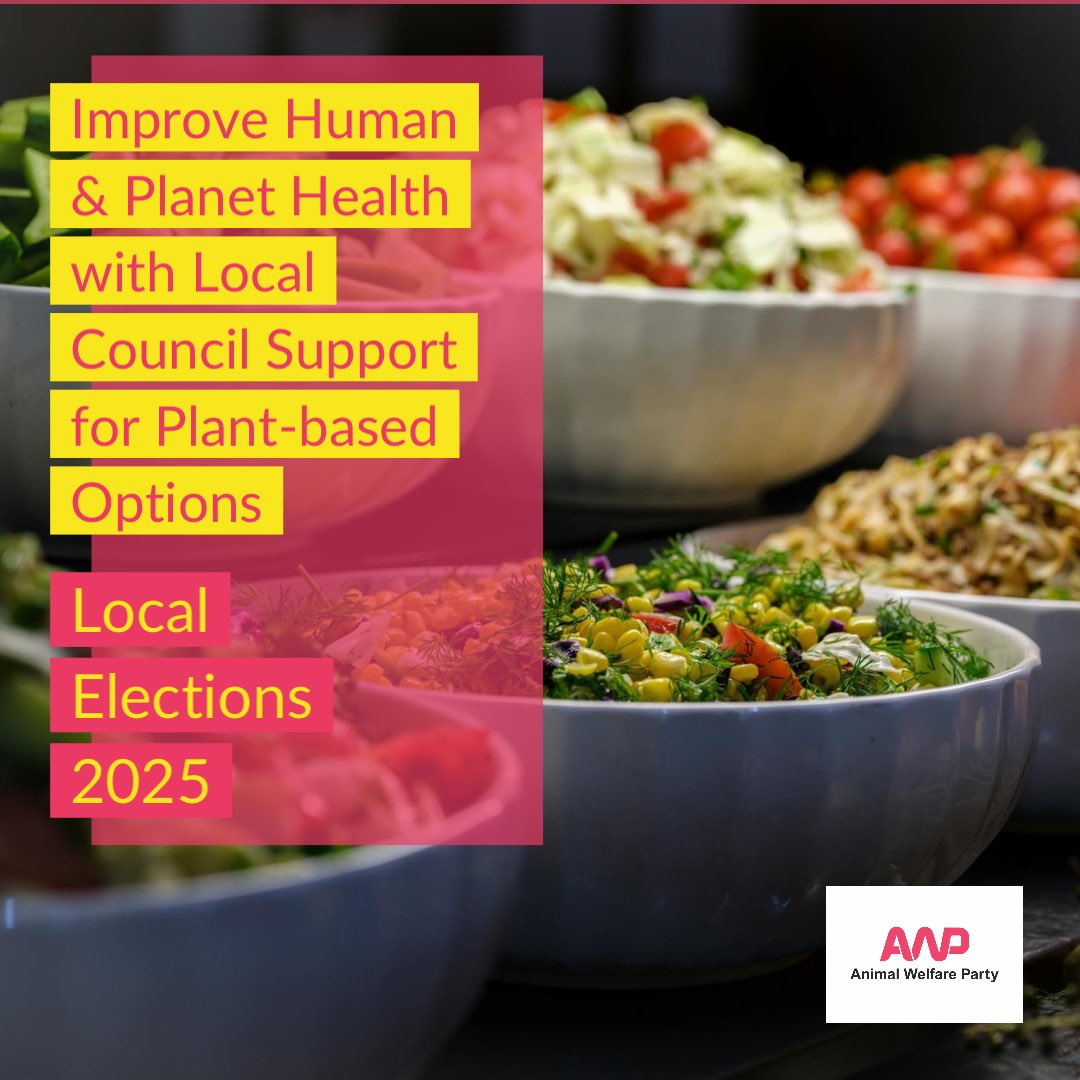 🌍🌱 May 1st Local Elections. AWP’s candidates know it’s high time local councils seize the opportunity to help improve human &amp; planet health by supporting the take up of plant-based options. 
🗳️More on our candidates &amp; policies at: animalwelfareparty.org/current-electi… 
#LocalElections2025 🧵