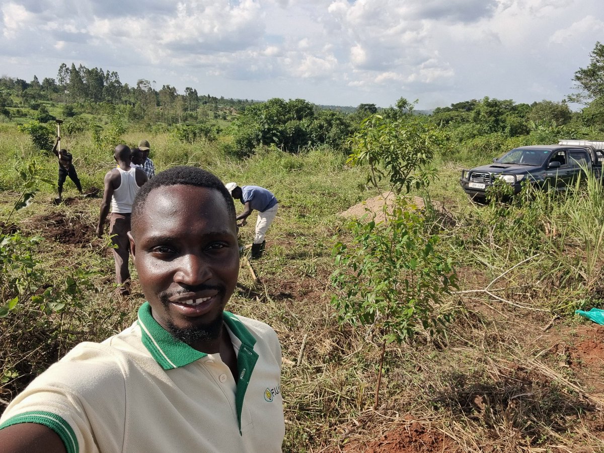 Day 1 of setting up a mega poultry farm. 
I'm setting up a beautiful poultry farm for a client of mine in the diaspora.  Watch the space!