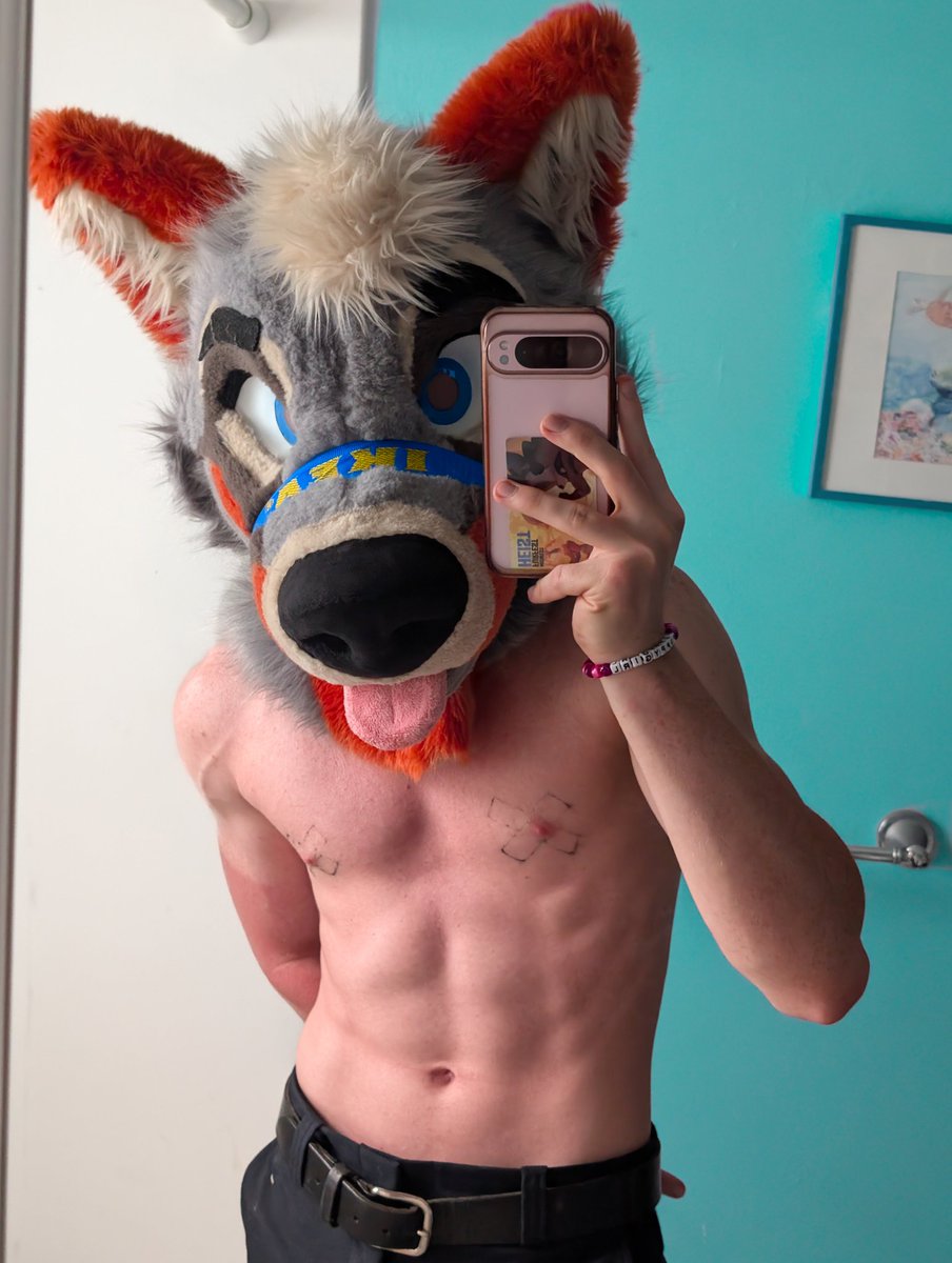 Lucky 🐾 tweet media