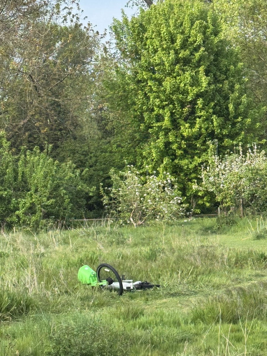 Spring has sprung in Hackney