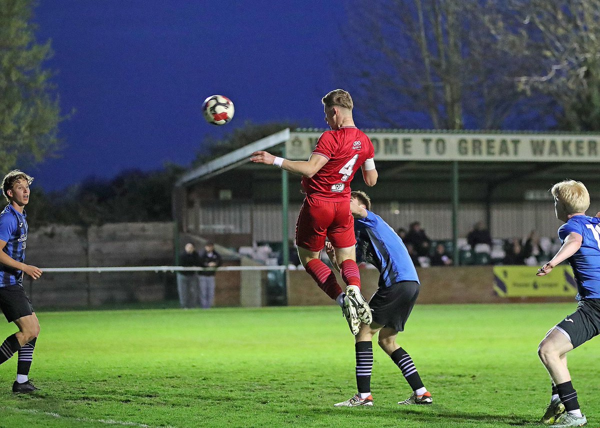 Nathan Wilson tweet media