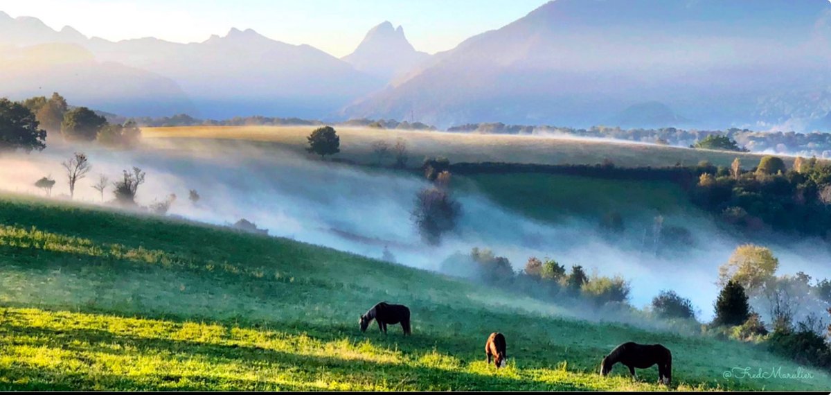 Ma #photo préférée..