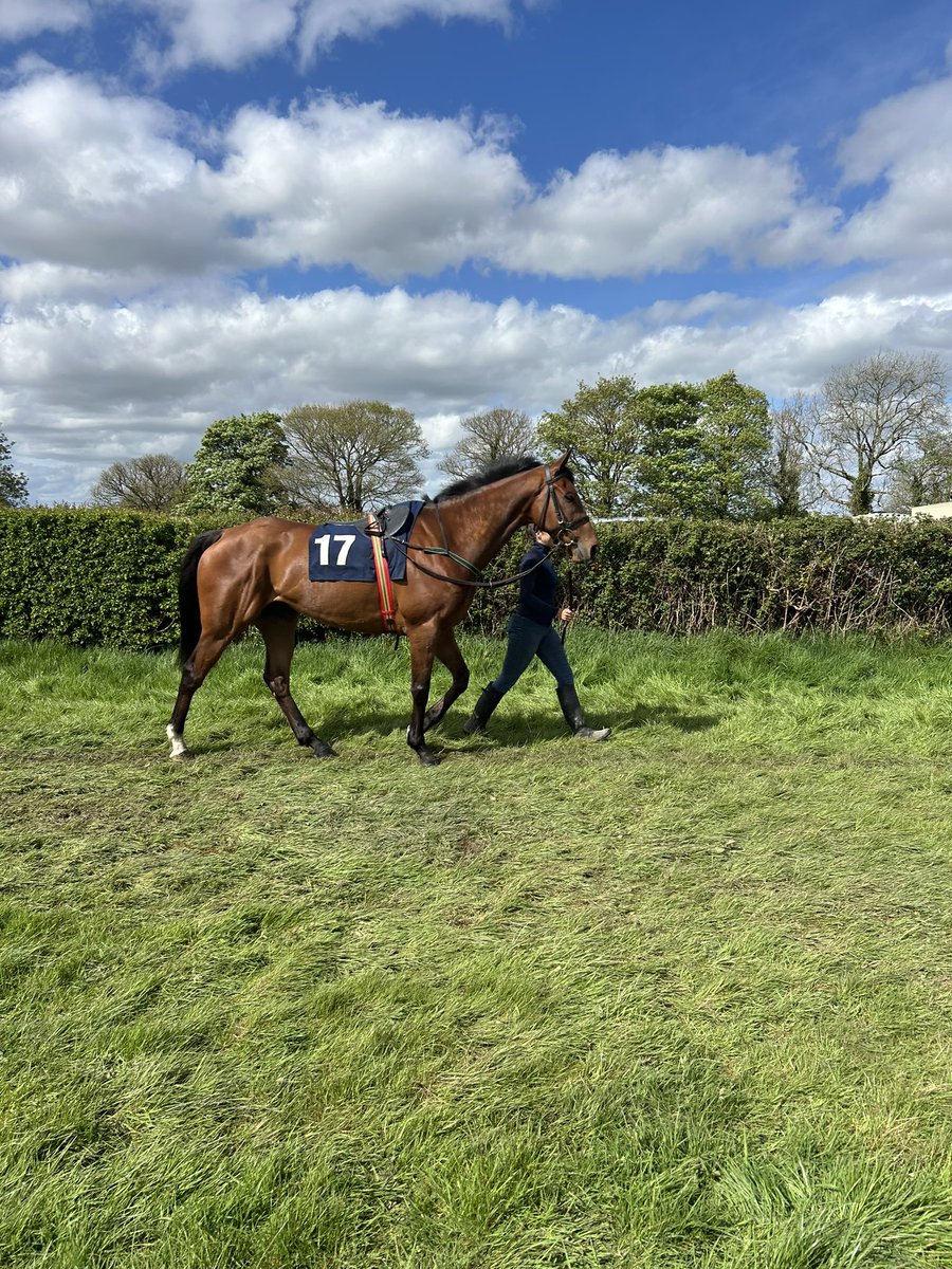 Niall Rochford (@rochfordniall) on Twitter photo Amazing weekend! Thank you <a href="/paulapastry/">paula stakelum</a> for completing the Connemara Half Marathon in aid of <a href="/pancanireland/">Pancreatic Cancer Ireland</a> Yesterday our horse won its first race in the colours of our purple ribbon syndicate in memory of Stella!! 17 was also our lucky number!! Amazing weekend! Thank you <a href="/paulapastry/">paula stakelum</a> for completing the Connemara Half Marathon in aid of <a href="/pancanireland/">Pancreatic Cancer Ireland</a> Yesterday our horse won its first race in the colours of our purple ribbon syndicate in memory of Stella!! 17 was also our lucky number!!