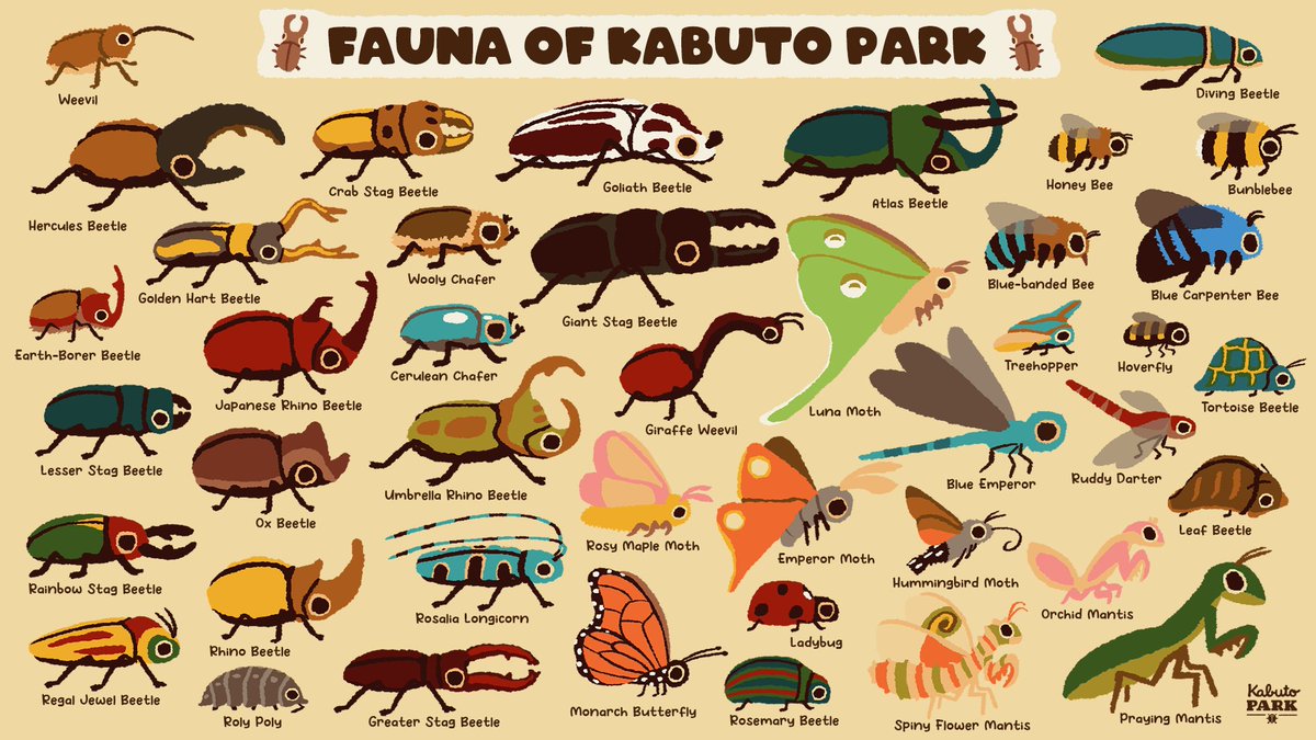 Here are all the bugs you'll be able to meet in Kabuto Park 🐝🪲🐞🦋