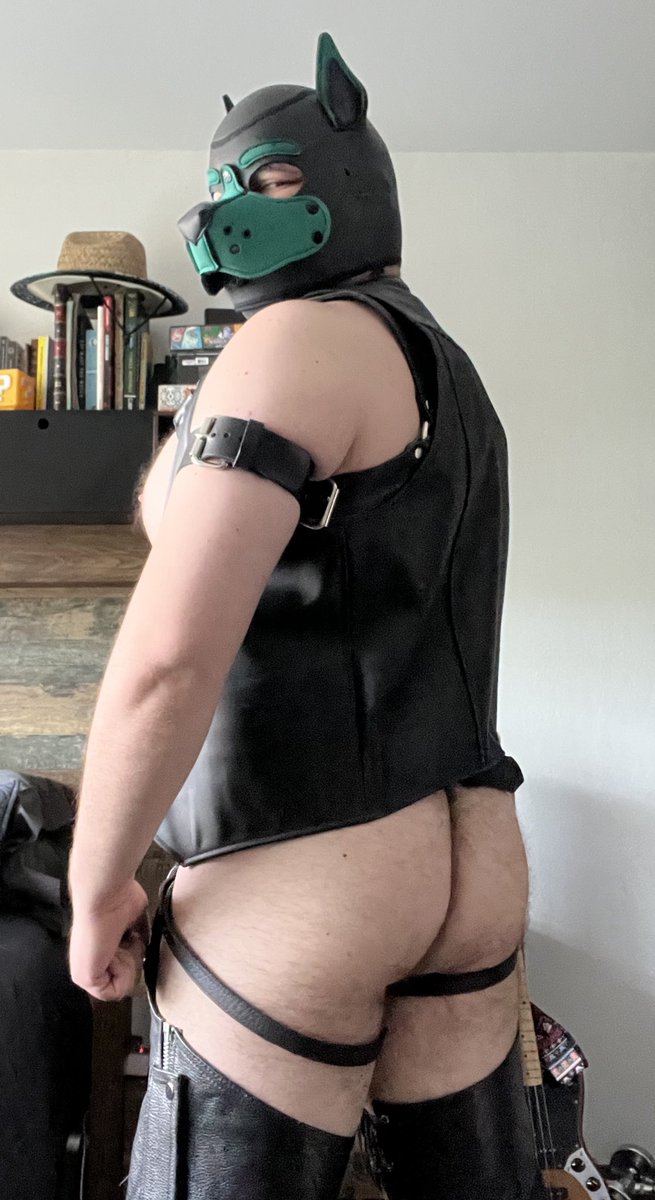 Lederbär (@laederbaer) on Twitter photo 