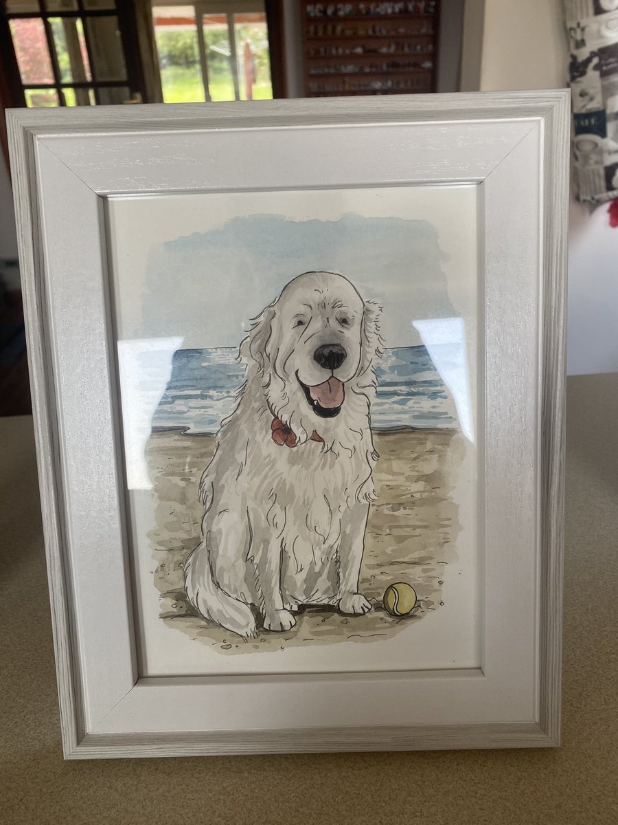 Got a belated birthday gift today 🎁🐶 a painting of <a href="/GoldieClara/">Clara the Goldie</a>  🩷 love it