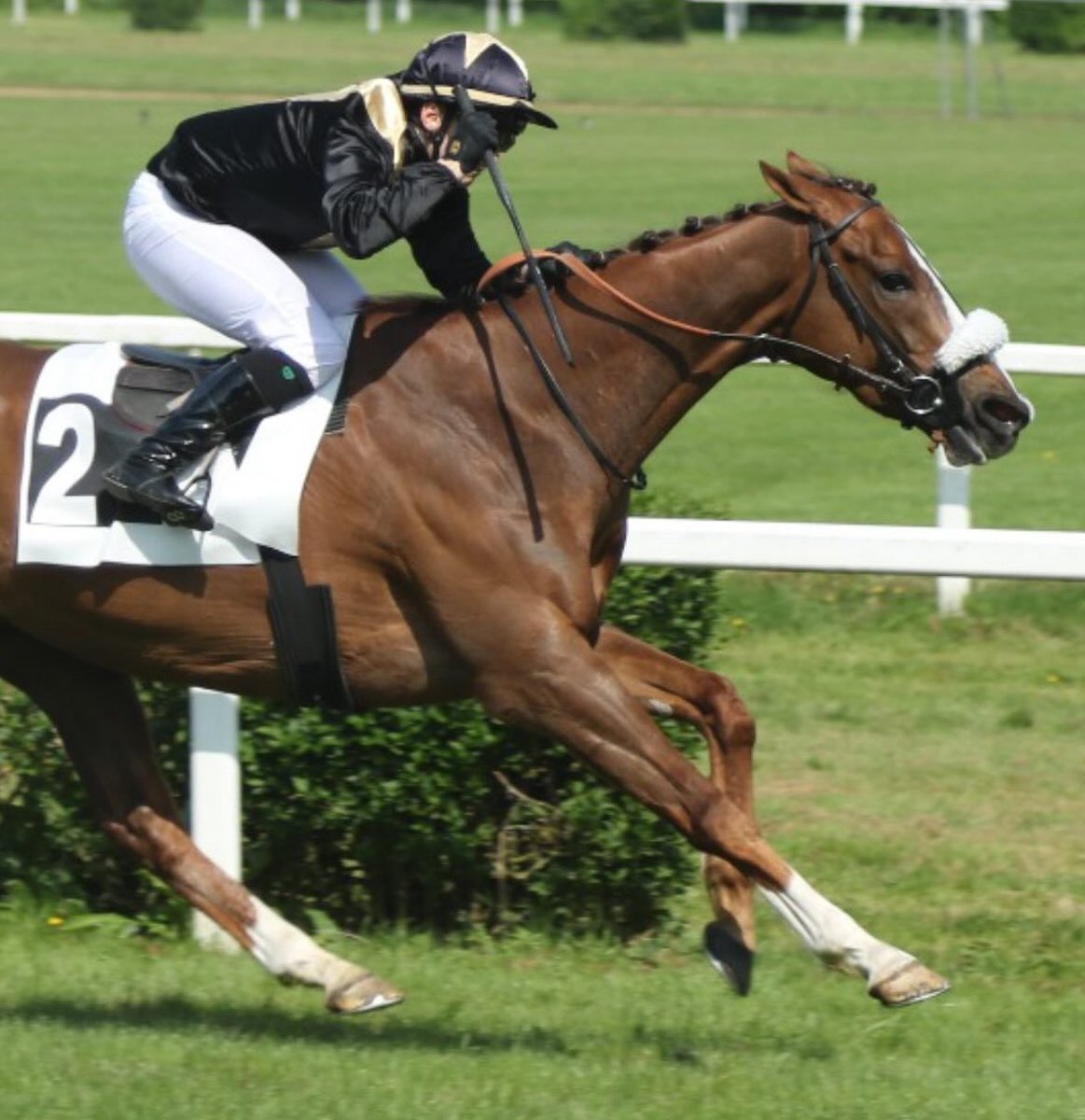 Victoire à Sablé Sur Sarthe ce dimanche avec le valeureux Manssourio, qui s’impose de bout en bout avec son gentleman Baptiste Bourgeais !