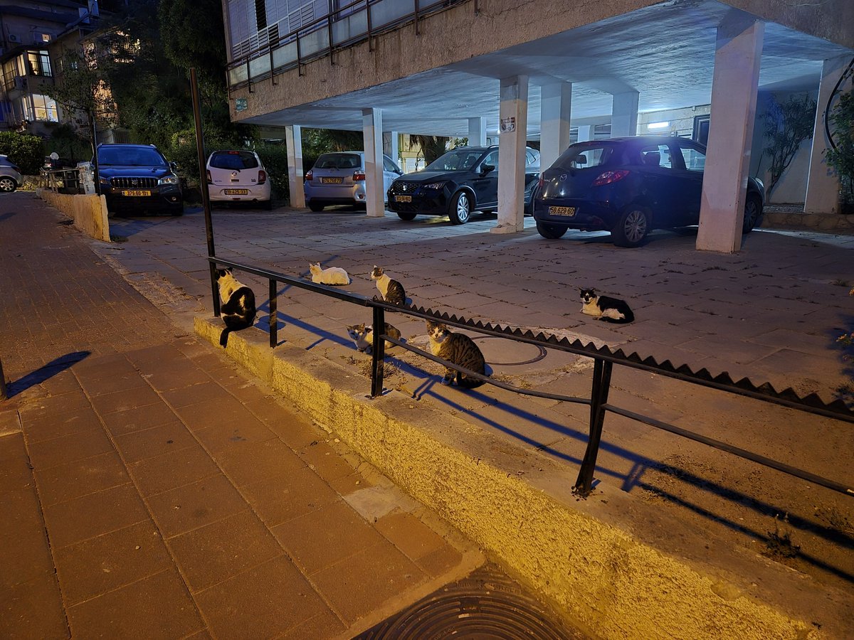 חסרים לנו כמה למניין