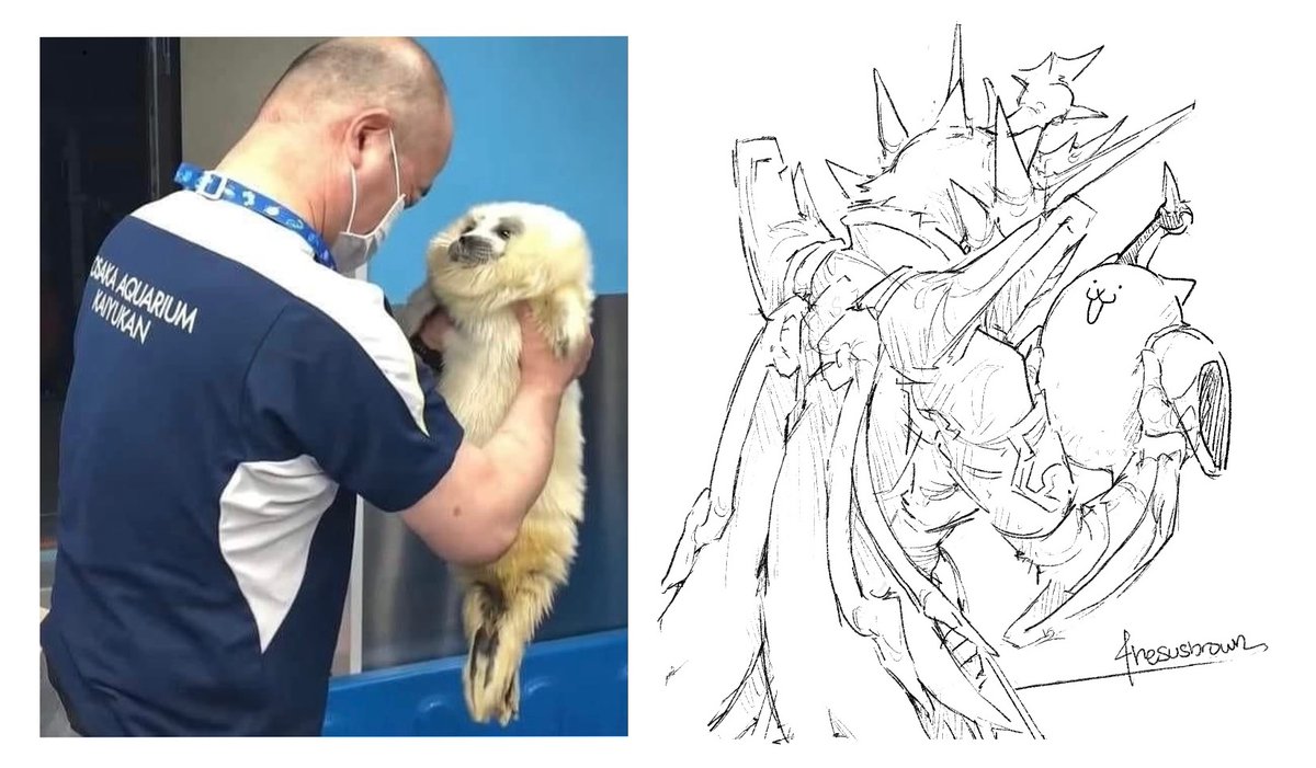 why so seal 🦭 #thebattlecats