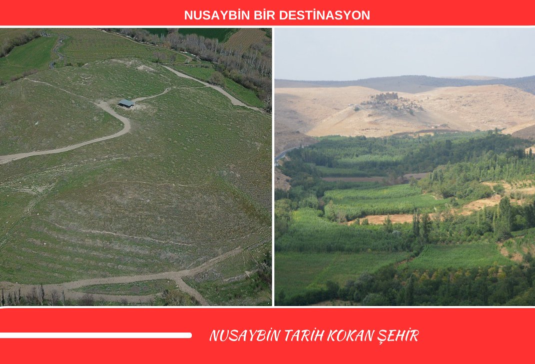 Nsy_Kaymakamlik's tweet photo. Tarih kokan turizm cenneti Nusaybin her bir yeri keşfedilmeye, görülmeye değer.

📍 Dünyanın ilk üniversitesinin şehri,
📍Tarihte kurulan ilk 7 şehirden biri,
📍İlim ve Bilimin dünyaya yayıldığı köklü tarihi, zengin kültürü ve eşsiz doğal güzellikleriyle medeniyetler şehri Nusaybin sizleri bekliyor.

#NusaybinBirDestinasyon

@TC_icisleri @AliYerlikaya 
@Mardin_Valiligi @tuncay_akkoyun