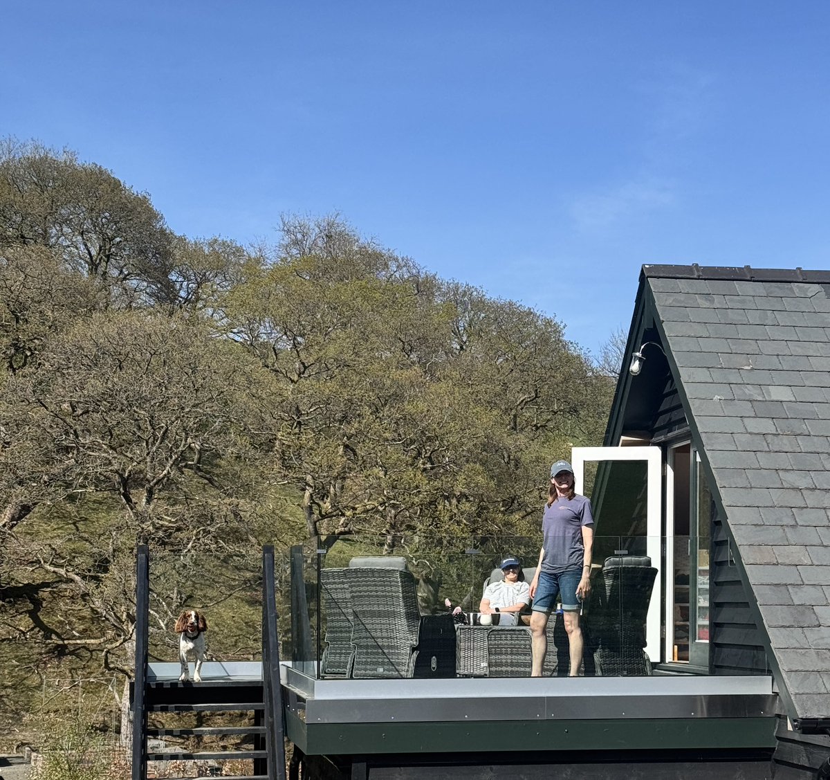 Enjoying the sunshine.