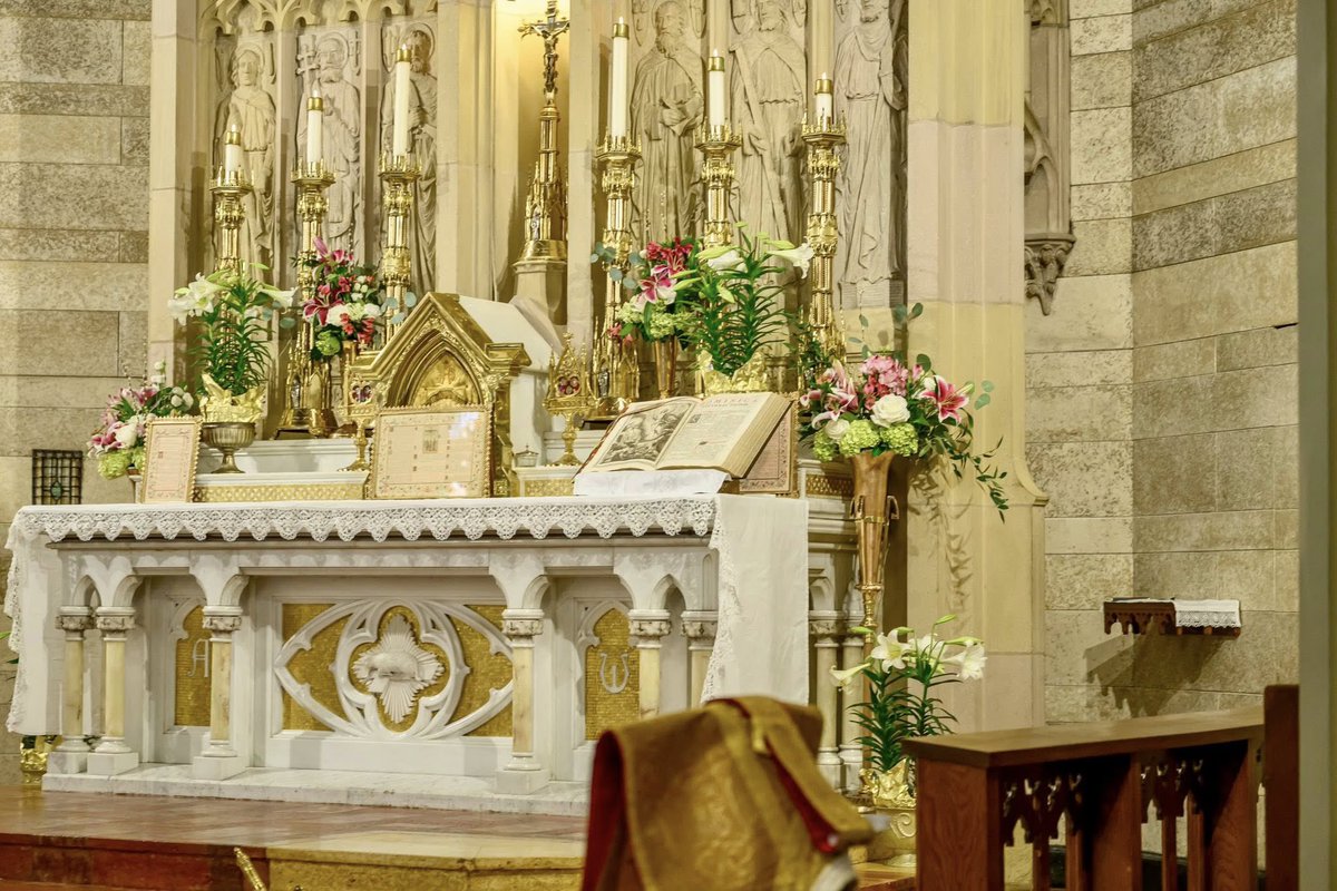 FSSP North American Province tweet media