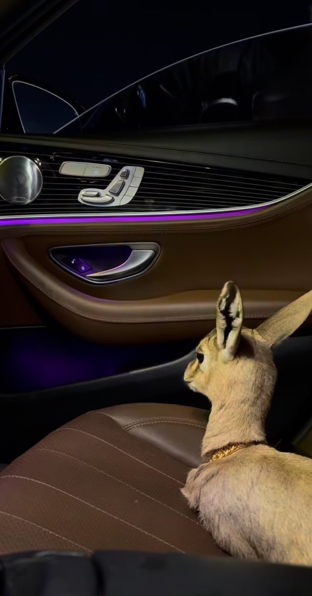 قيّدت الاحلام لو وجه الليالي شحيح
وخذيت مما جنيته عن رضا واقتناع

أول دروب الخطا .. بتعلمك بالصحيح
وآخر جروح الوفا ..  بتردك من الضياع

من يوم عقلي غلب قلبي .. وانا مستريح
طافت همومي على صدري طواف الوداع

#مساء_الخير