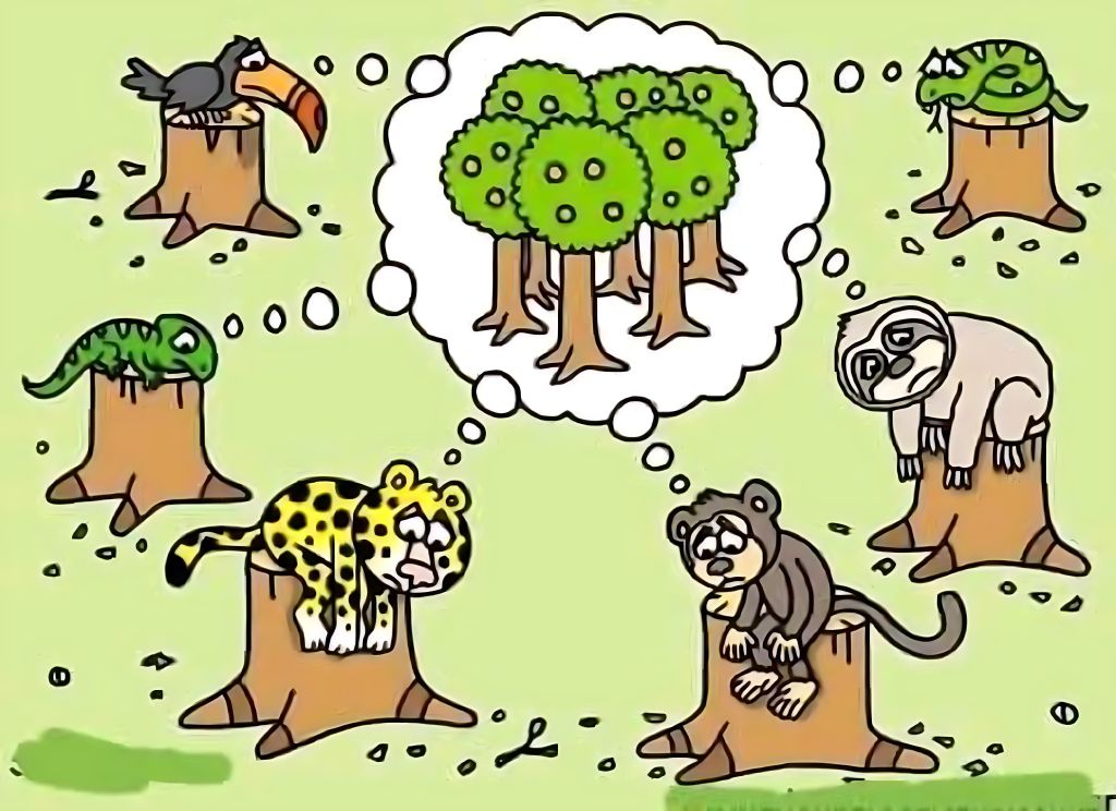 EcoInventos's tweet photo. No solo son árboles, son hogares, son refugio, son alimento... https://t.co/sJ9Ig1ANb8
