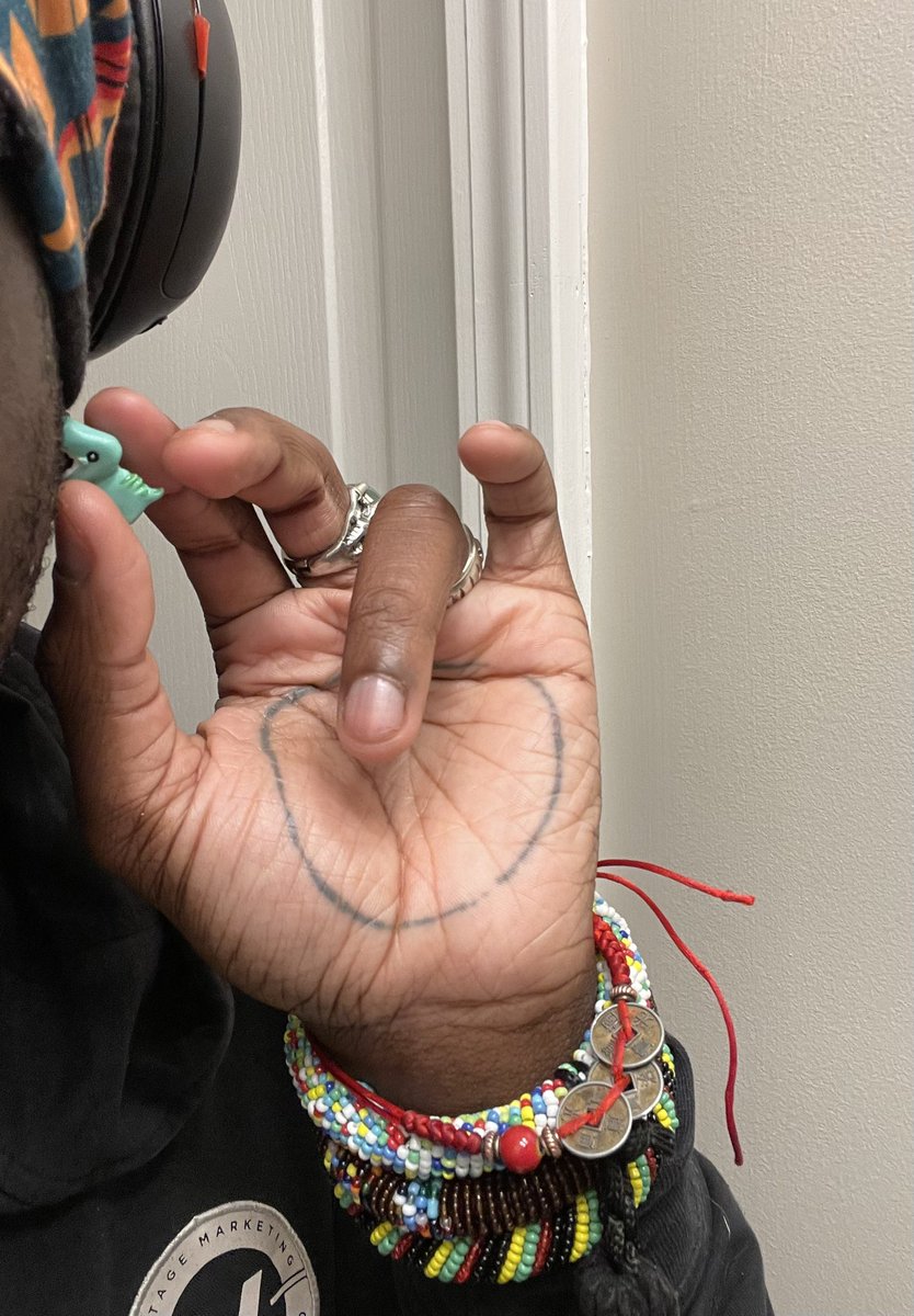 How do we feel about my baby dino earrings???