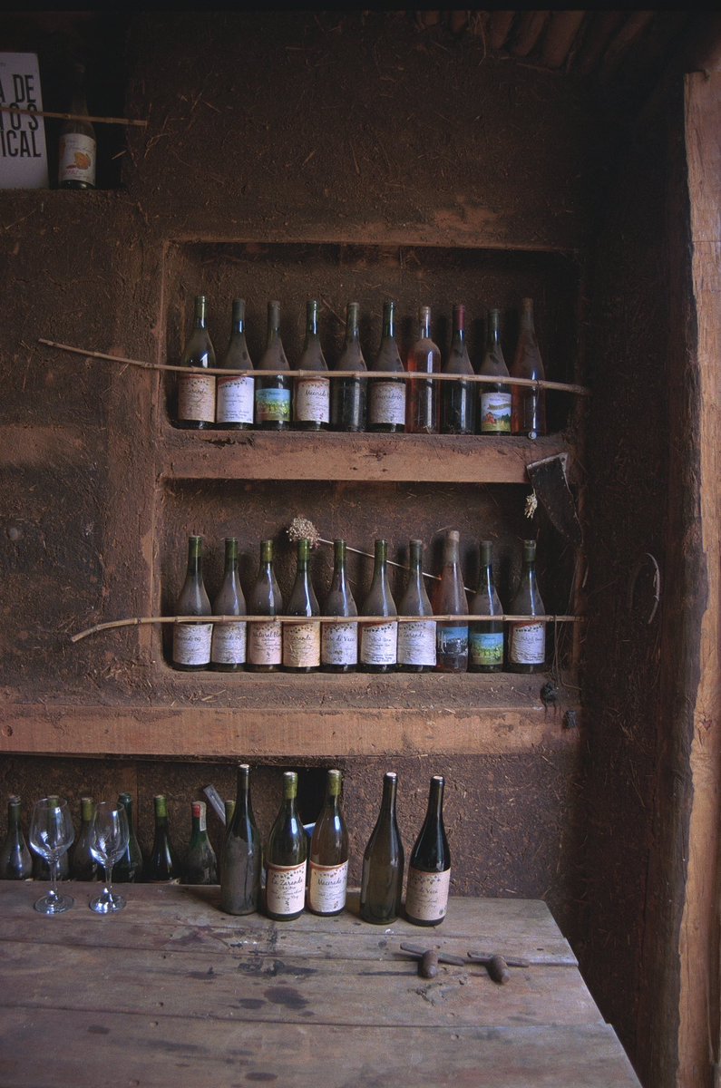 evvvvvvve's tweet photo. Sipping wine in Chile, on film https://t.co/fijWEN2nzb