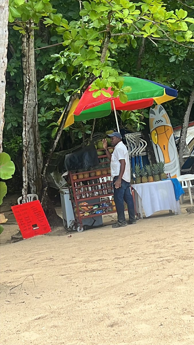 cesjimc's tweet image. ATENCIÓN @AmbienteRD @PoliturRD en playa Los Guardia, Río San Juan. Están ofreciendo y vendiendo pez cotorra cuando existe una veda para la captura, pesca y comercialización del mismo.