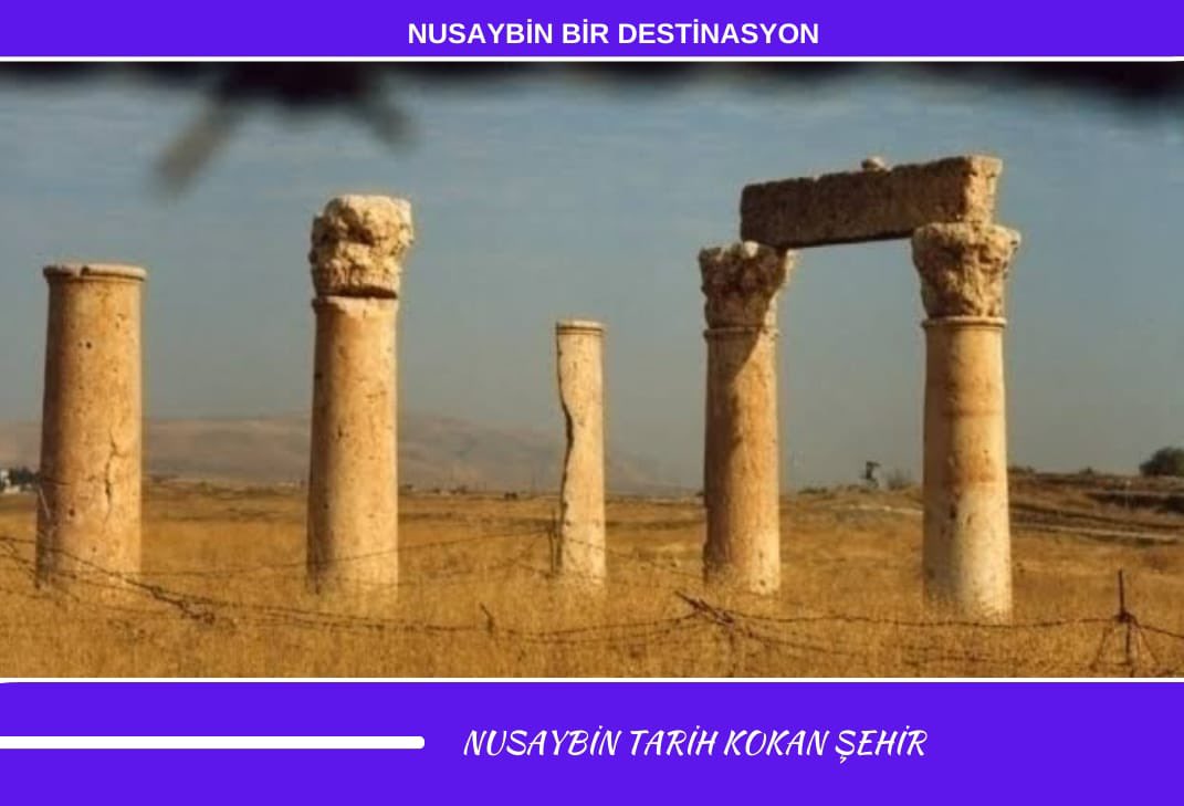 #NusaybinBirDestinasyon