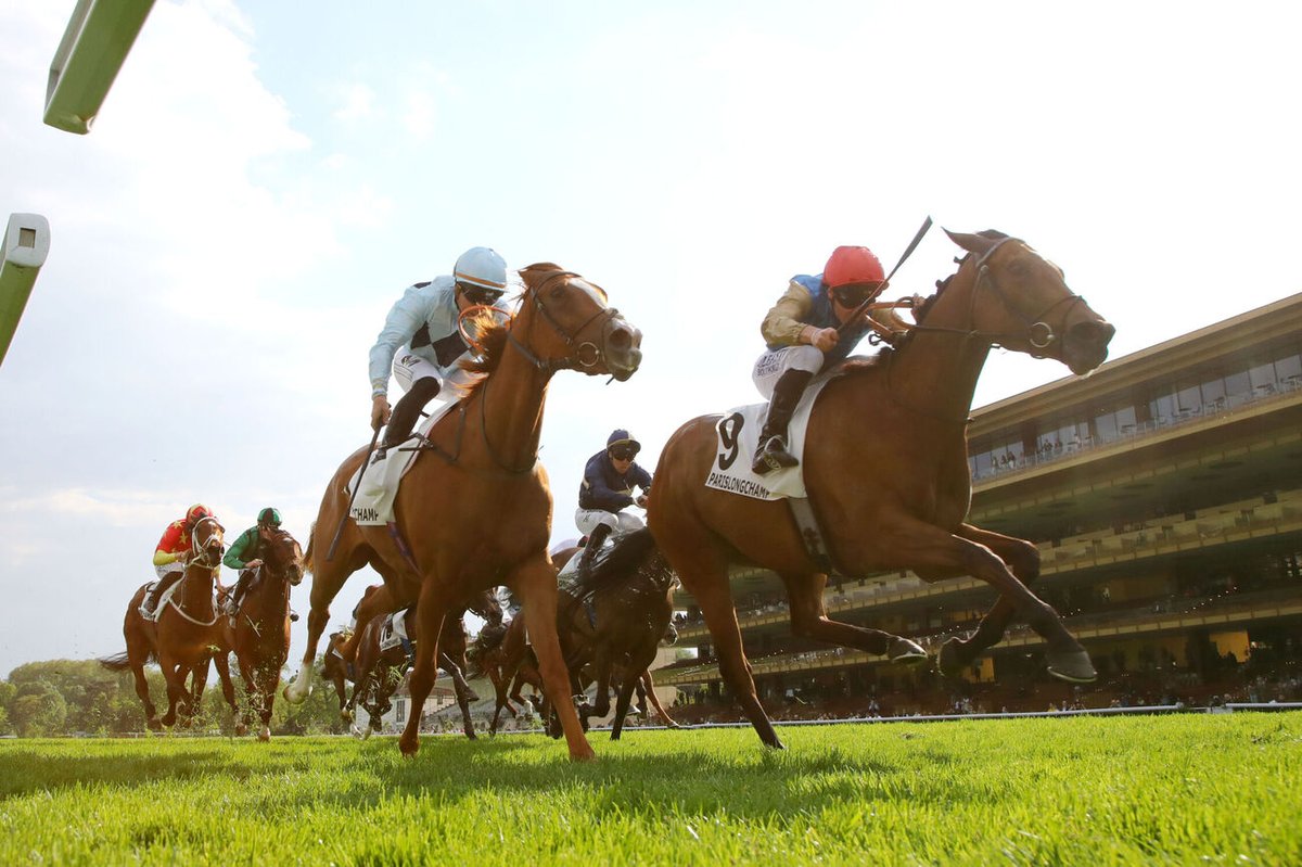 Jour de Galop (@jour_de_galop) on Twitter photo 🏆 PRIX MAURICE ZILBER (L), LONGCHAMP
Jasna's Secret (RS) (Galiway <a href="/HarasColleville/">Haras de Colleville</a>) renoue avec le succès pour sa rentrée et ses débuts à Longchamp ! La représentante de Wathnan Racing élargit désormais ses options.
#JourdeGalop 🏆 PRIX MAURICE ZILBER (L), LONGCHAMP
Jasna's Secret (RS) (Galiway <a href="/HarasColleville/">Haras de Colleville</a>) renoue avec le succès pour sa rentrée et ses débuts à Longchamp ! La représentante de Wathnan Racing élargit désormais ses options.
#JourdeGalop