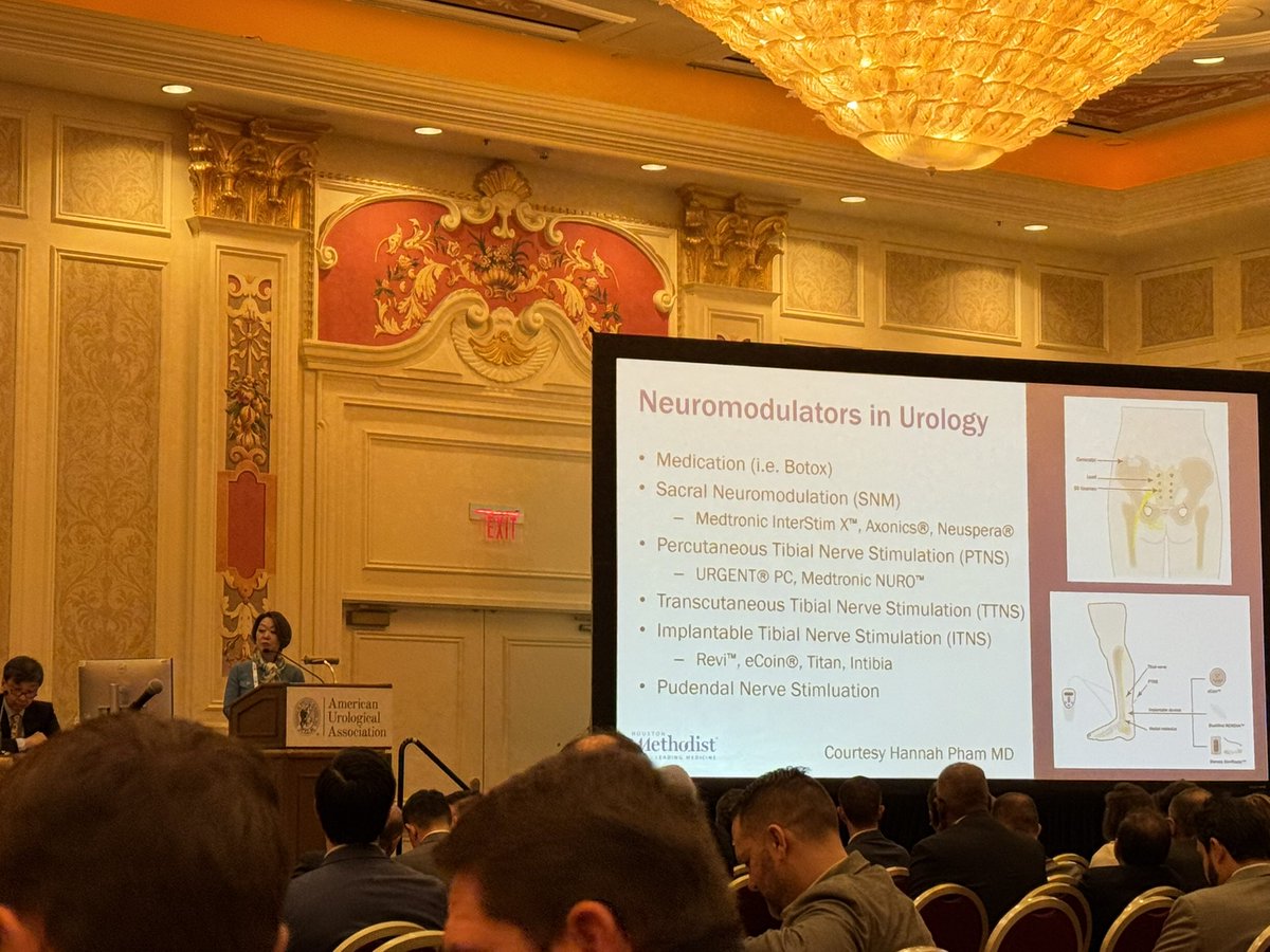Ricardo R Gonzalez MD (@rrgonzalezmd) on Twitter photo Masterclass this morning in sacral neuromodulation for #OAB by Dr. K. Kobashi 🤩<a href="/KKseattle/">Kathleen Kobashi</a> at #AUA25 <a href="/sbuoficial/">Sociedade Brasileira de Urologia</a> <a href="/AmerUrological/">Amer. Urol. Assn.</a> <a href="/sufuorg/">SUFU</a> Masterclass this morning in sacral neuromodulation for #OAB by Dr. K. Kobashi 🤩<a href="/KKseattle/">Kathleen Kobashi</a> at #AUA25 <a href="/sbuoficial/">Sociedade Brasileira de Urologia</a> <a href="/AmerUrological/">Amer. Urol. Assn.</a> <a href="/sufuorg/">SUFU</a>