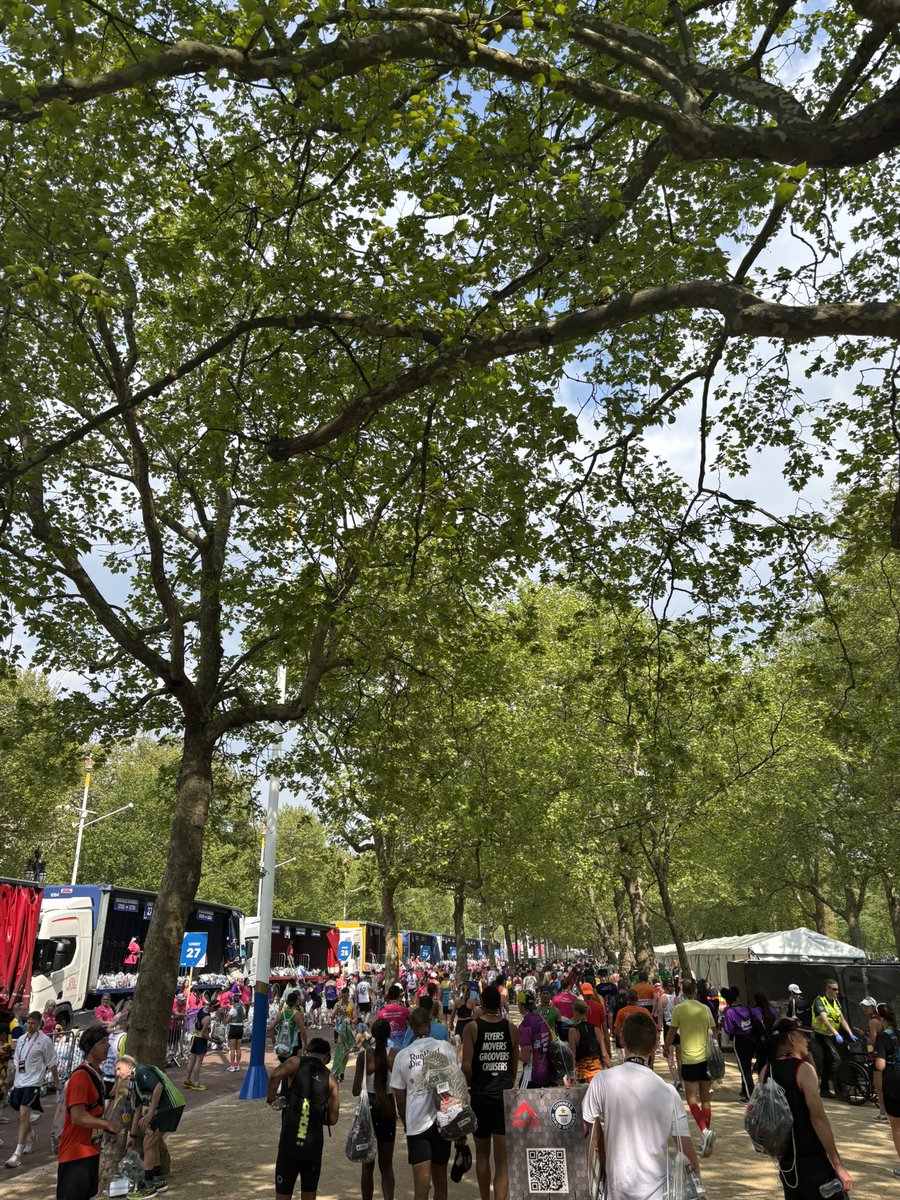 Craig McIntyre tweet media