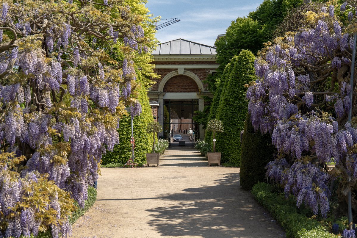 Today I walked around the Botanical Garden of Leuven