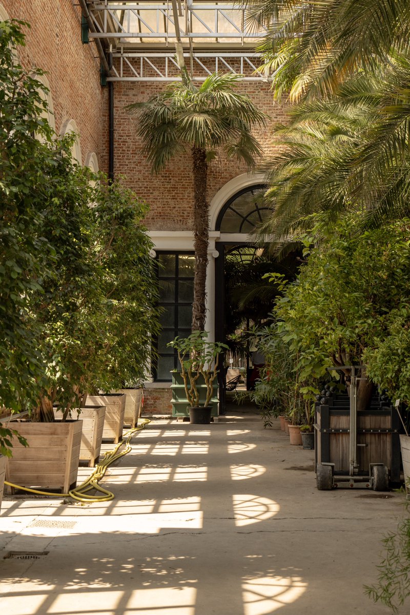 Raphael Barberi📷 tweet media