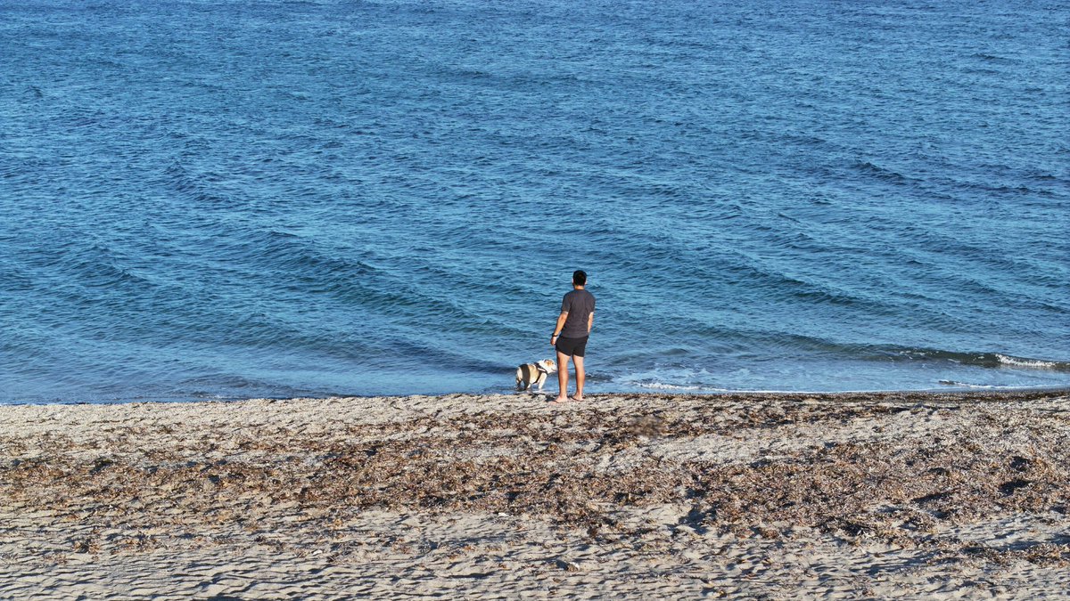 FrancisPime's tweet photo. Necesitábamos desconectar... 🤙🏻
#traveling 🚁
#onepicture 🎈 https://t.co/XNJCWiqicw