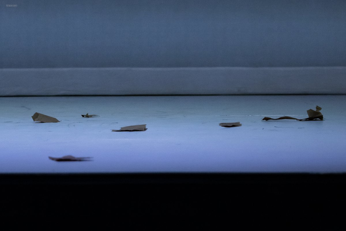 250427 연극 시련 총막 

깃발을 만들어 흔들 정도는 아니지만, 저 들개들로부터 지킬 수 있을만큼은 하얗습니다.