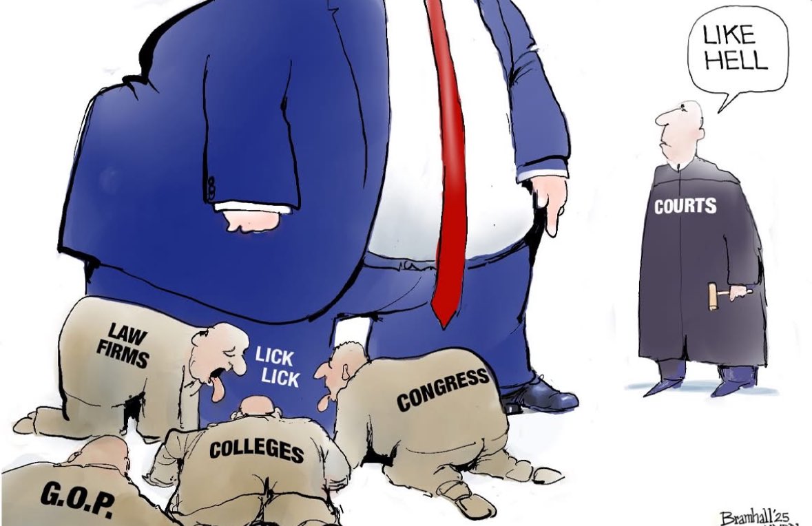 The Supreme Court, which gave Trump complete immunity, finally took a stand and banned this administration from deporting anyone else to El Salvador without due process. Going forward, will the SCOTUS honor and respect our constitution and their oath of office?