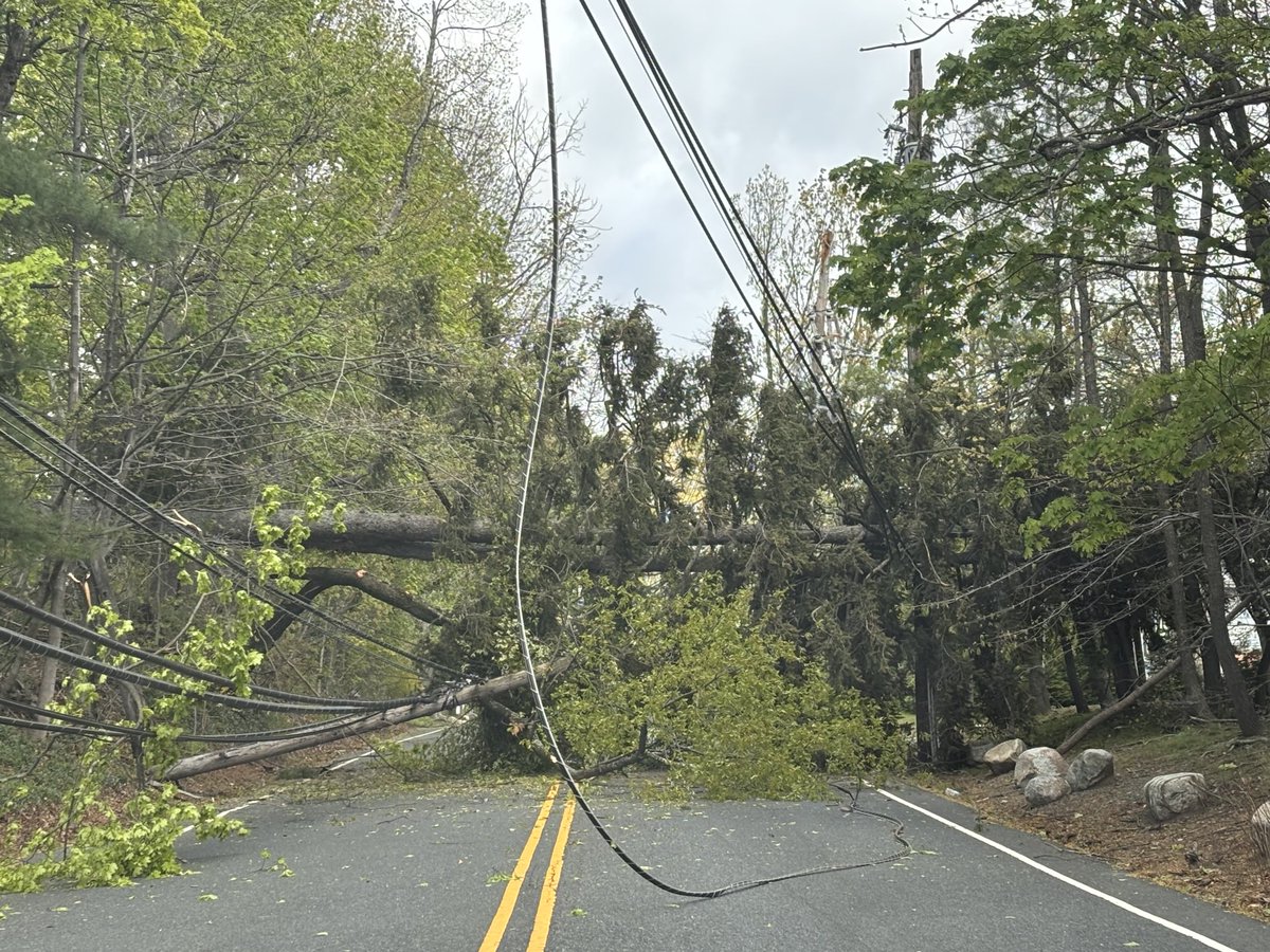 Timing is everything. This tree and wires came down seconds before I approached it while driving in Short Hills, NJ. I called 911. A busy road too - nobody was hurt. But wind is crazy today. ⁦<a href="/wnbcdesk/">WNBC Assignment Desk</a>⁩ ⁦<a href="/NBCNewYork/">NBC New York</a>⁩