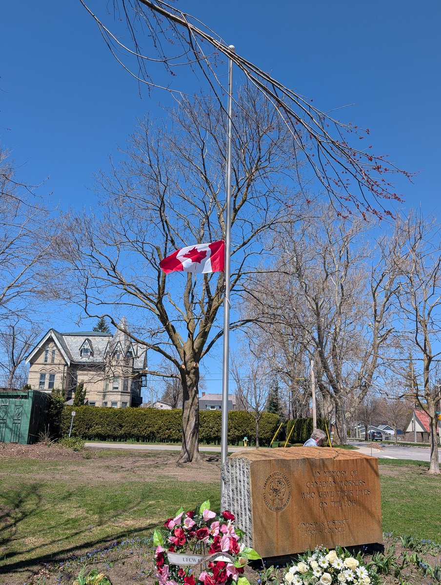 Jdevuono tweet media