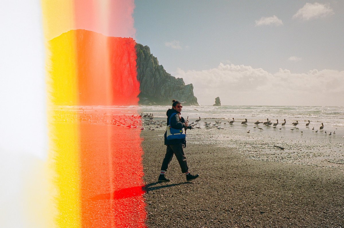 Spring on the California Coast 🎞️