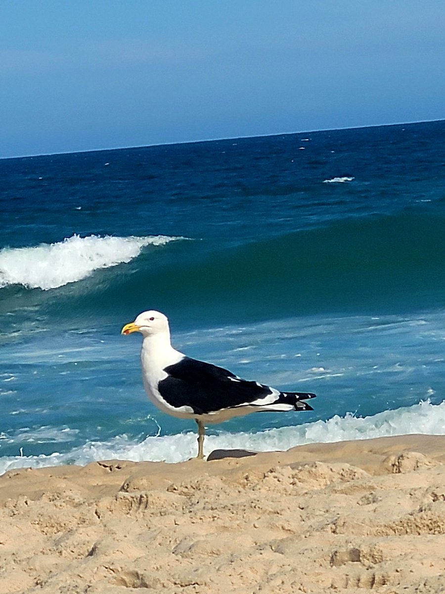 Não quero guerra com ninguém!
Bom domingo!
