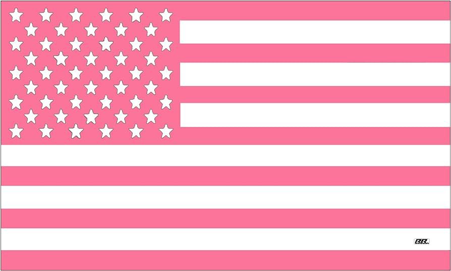 dyncrave's tweet image. Trisha Paytas has been elected president of the United States