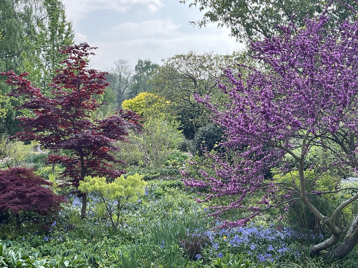 Fullers Mill Garden, #Suffolk