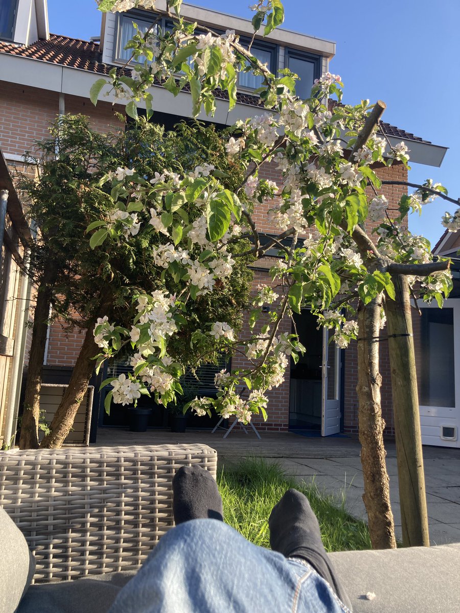 From time to time during a long trip you find a place that has a nice garden to chill out in where the coffee and food are good and the bed and shower are clean and the staff tolerable. 

The garden in my new house makes me think of those places. Think I’m smashing suburbia.