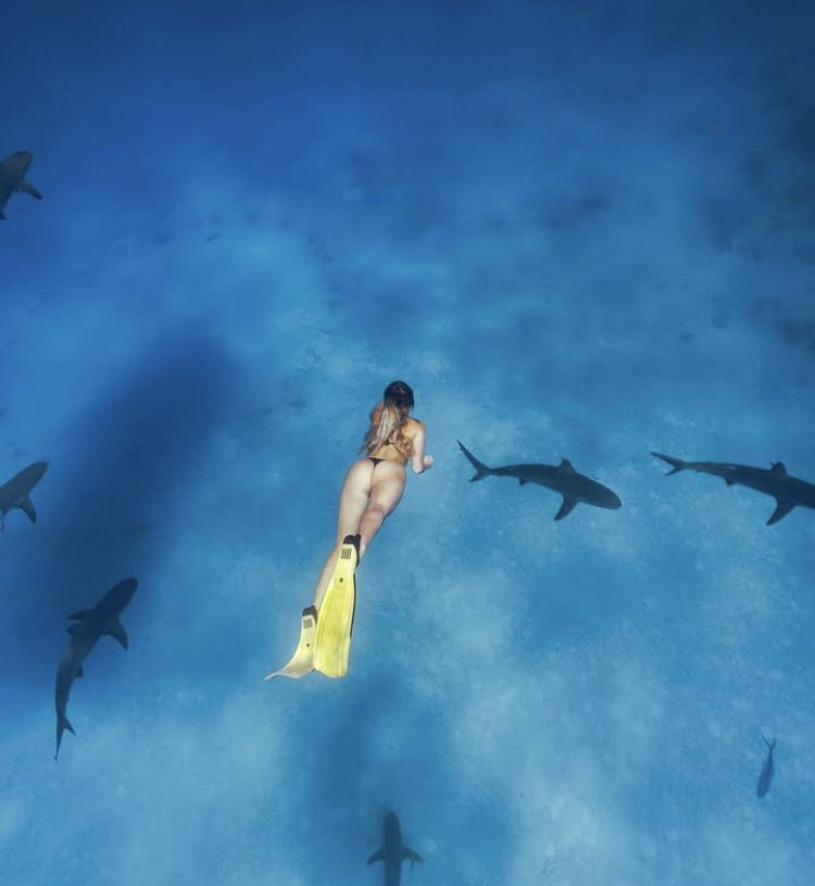 ChungSeungkyu's tweet image. Do you think sharks like cake ?