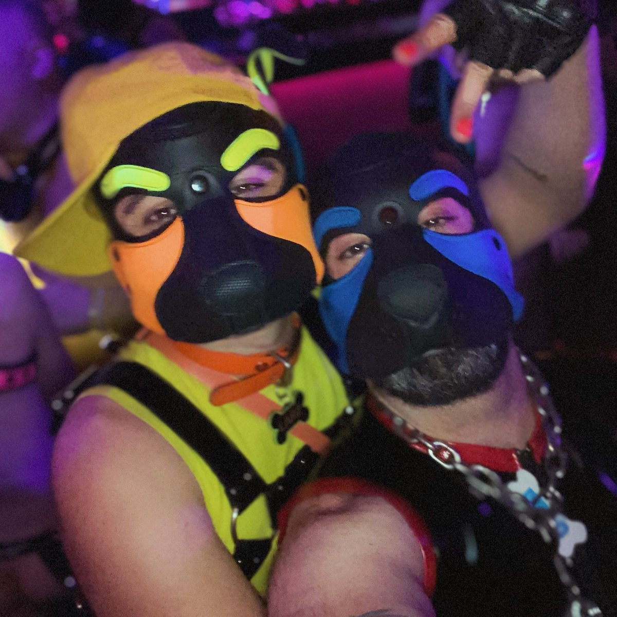 Lovely puppies 🐾🥰 <a href="/NitionP/">Nition_pup 🔜 Darklands 2026</a> <a href="/pup_larz/">Pup_Larz</a>