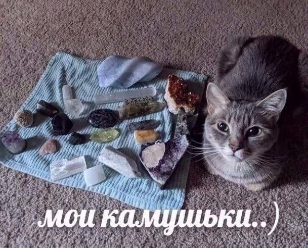 Gribanov ☢ ᓚᘏᗢ (@gribanov) on Twitter photo 