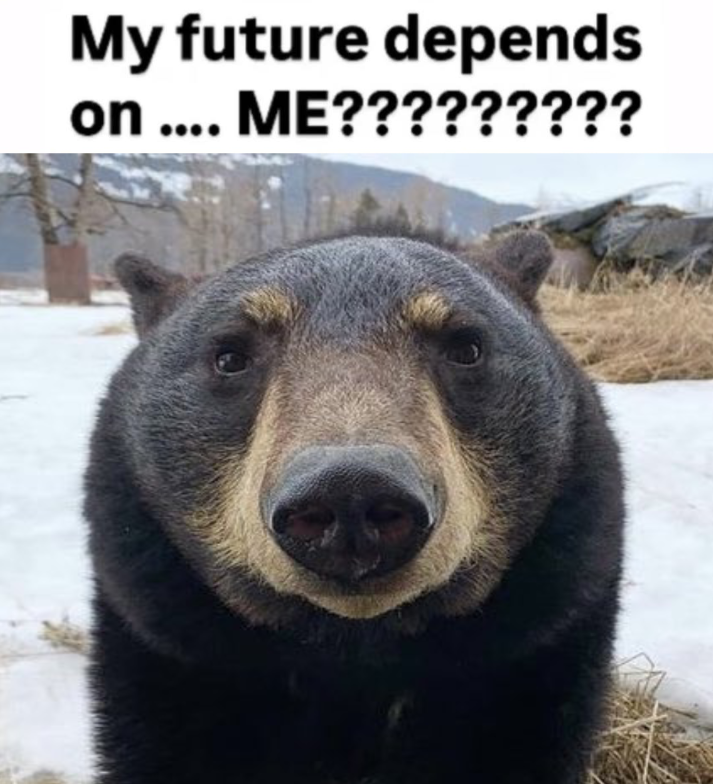 BearyDales's tweet photo. https://t.co/nUHZoPOC9r