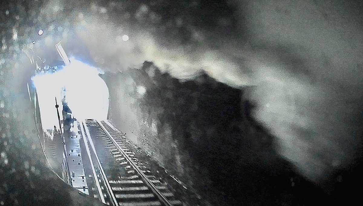 Tim Dunn tweet media