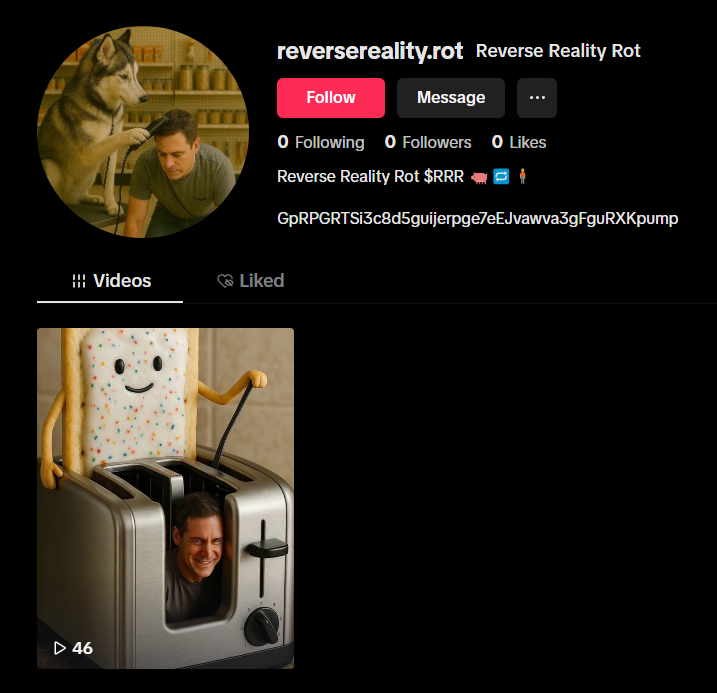 reverseRRsol's tweet image. New CTO tiktok - Go like, follow and interact with the videos 

tiktok.com/@reverserealit…