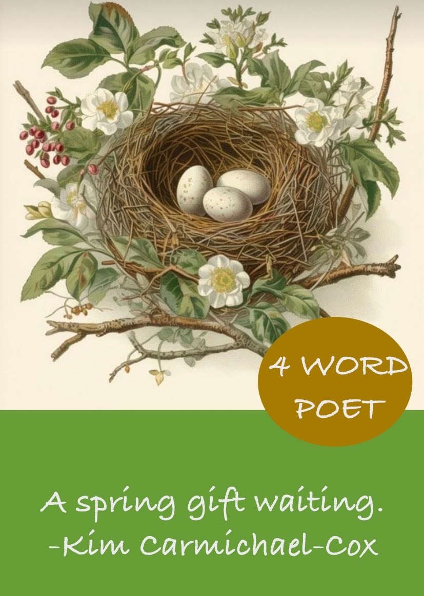 LuckyCricket8's tweet photo. #4wordpoet #4words #writingcommunity #writer #vvs365 #poem #poetry ##poetrycommunity https://t.co/IFJ8AgYHjw