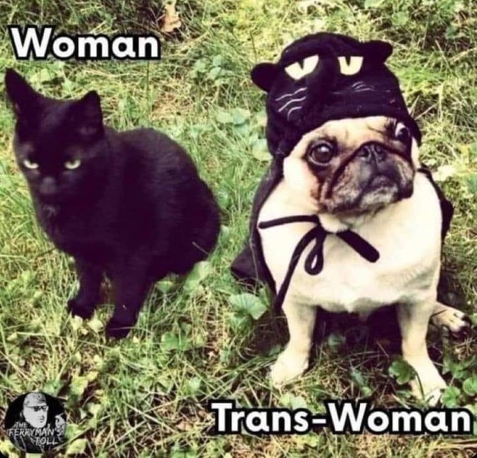 BigMKilo's tweet photo. @jk_rowling I'll break it down for everyone.... https://t.co/AO48NZpvX9
